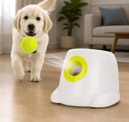 Dog Pet Automatic Interactive Ball Launcher